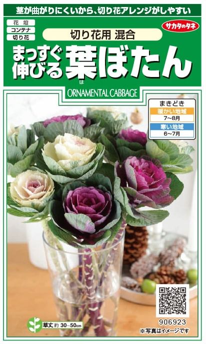 Υ ޤäӤղð 0.2ml ͹б