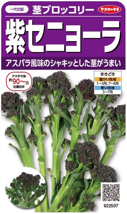 サカタのタネ 茎ブロッコリー 紫セニョーラ 約20粒【郵送対応