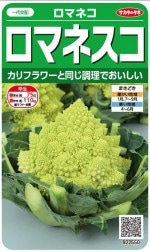 �������Υ��� ���ޥͥ��� ���ޥͥ� ��25γ��͹���б���