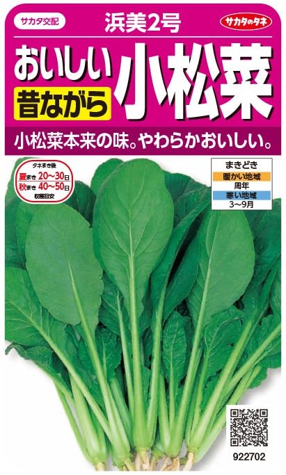 サカタのタネ コマツナ おいしい昔ながらの小松菜 浜美2号 10ml
