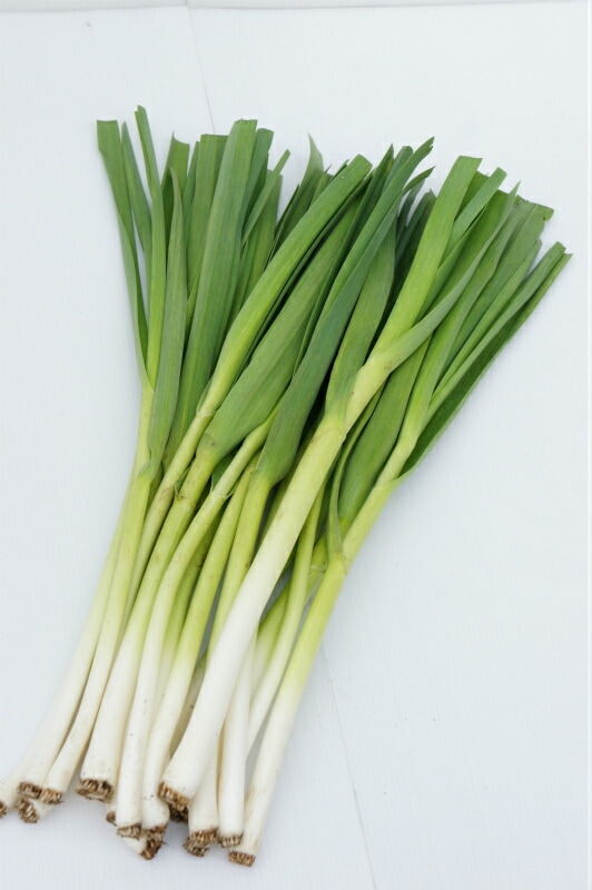 �դ򿩤٤�˥�˥����񻺤ˤ�ˤ��֥ϡ���å����󣵣���������