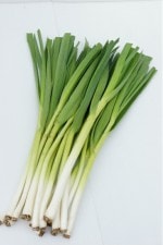 դ򿩤٤˥˥񻺤ˤˤ֥ϡå󣵣