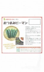 ���Ӽ��ġ��֤��Ĥޤߥԡ��ޥ�פΥ��͡�[�����̡���25γ]