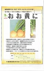 ���Ӽ��ġ������֡��֤������ˡפΥ��͡�[�����̡���100γ]