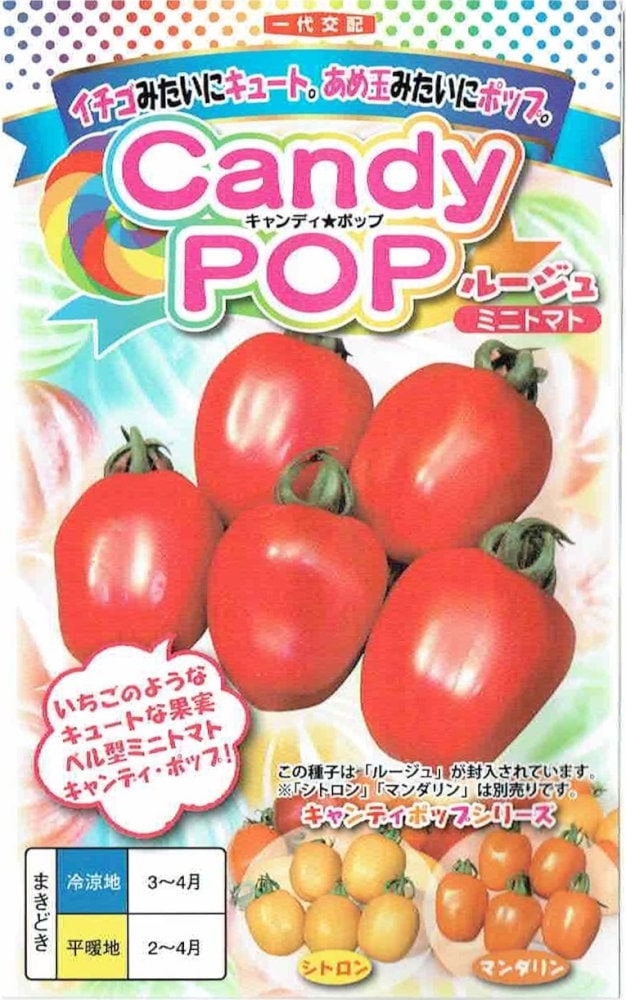 ナント種苗 ミニトマト 「キャンディポップ ルージュ」のタネ 約7粒