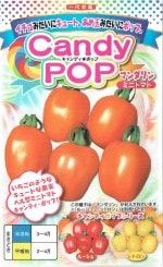 ʥȼġߥ˥ȥޥȡ֥ǥݥå ޥפΥ͡7γ