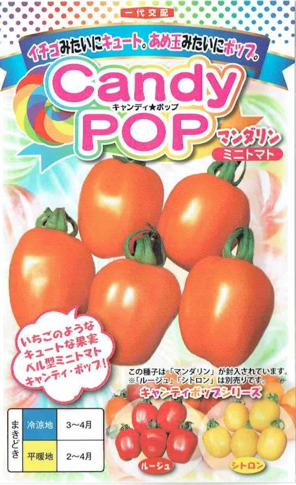 ナント種苗 ミニトマト 「キャンディポップ マンダリン」のタネ 約7粒