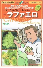 �ȥ������ġ������ȥ����ꥢ�����ޥͥ������֥�ե������פΥ��͡�[�����̡���50γ]