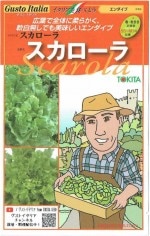 �ȥ������ġ������ȥ����ꥢ����������֡��֥���������פΥ��͡�[�����̡���50γ]