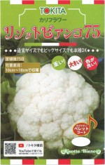 �ȥ������ġ�����ե����֥꥾�åȥӥ��󥳣����פΥ��͡�[�����̡��ڥ�åȥ����ȼ����50γ]