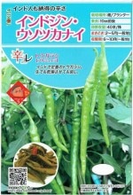 ȥġȥ饷֥ɥ󡦥ĥʥפΥ͡[̡20γ]