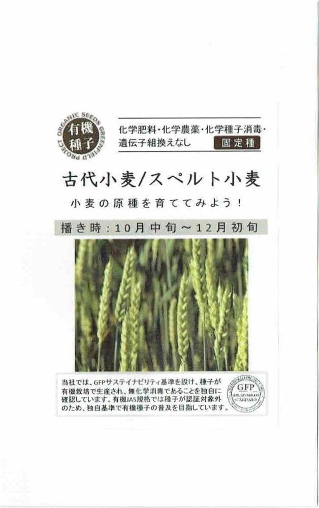 【有機種子】 「古代小麦/スペルト小麦」のタネ　25g