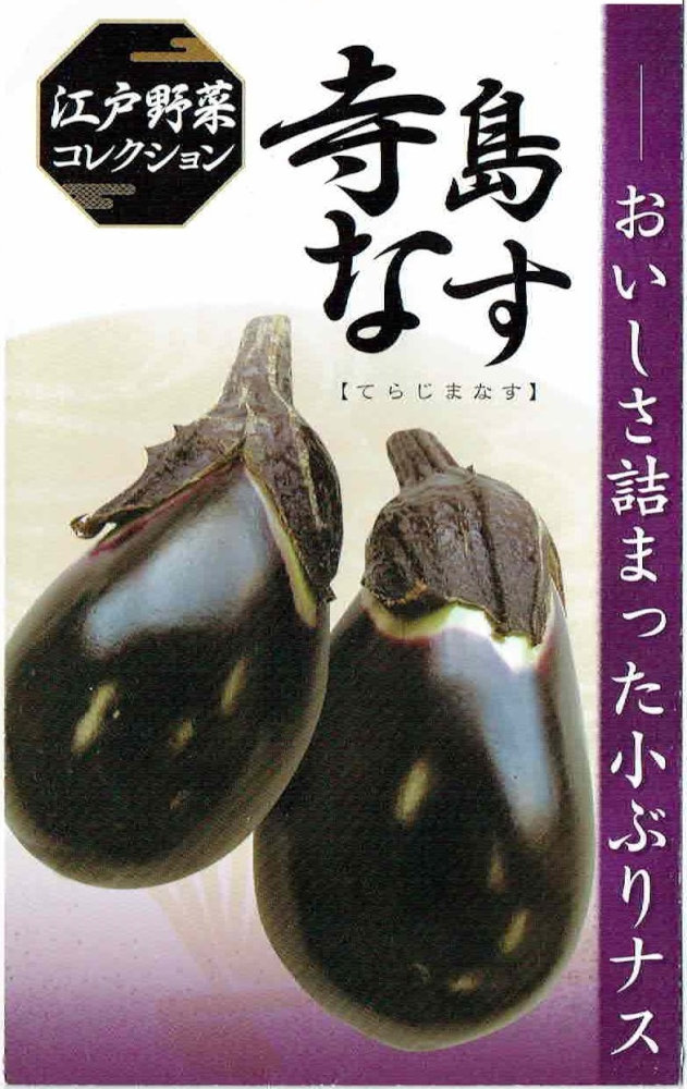 ナスの苗 「奥三河 天狗なす 4本セット(肥料付)」10.5cmポット【4月