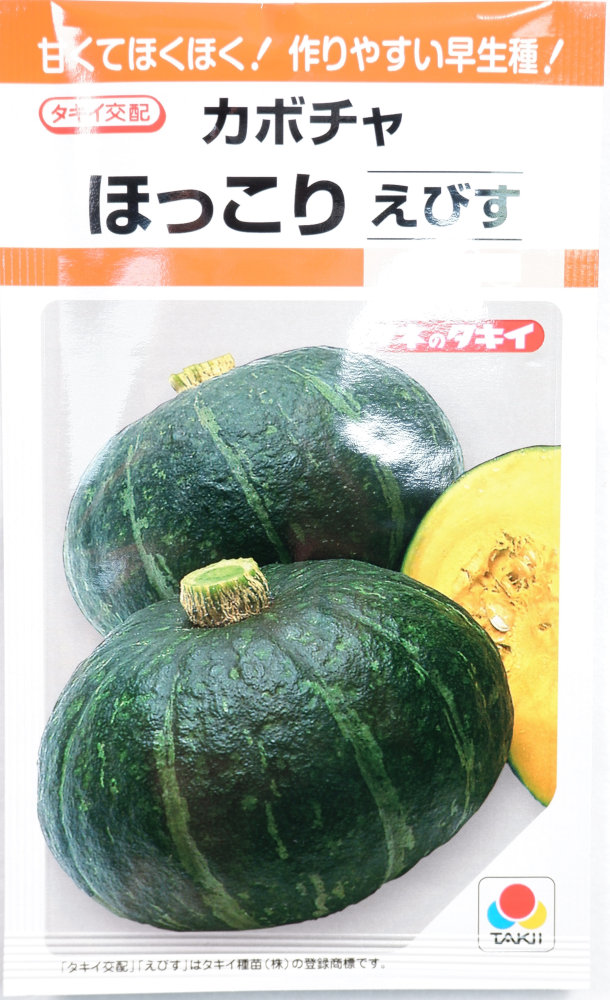 タキイ種苗 カボチャ「ほっこりえびす」のタネ 約9粒 | 【メーカー名