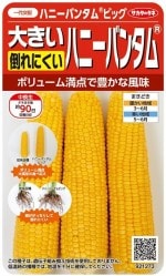 �������Υ��͡��ݤ�ˤ����ϥˡ��Х󥿥�֥ϥˡ��Х󥿥�ӥå��פΥ��͡�25ml