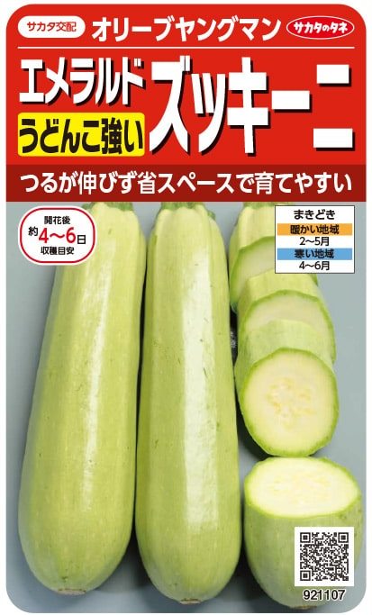 サカタのタネ うどんこ病に強い エメラルドズッキーニ「オリーブ