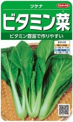 �������Υ��͡��ĥ��ʡ֥ӥ��ߥ�ڡפΥ��͡�10ml