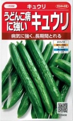 �������Υ��͡��֤��ɤ��¤˶������奦��פΥ��͡���36γ