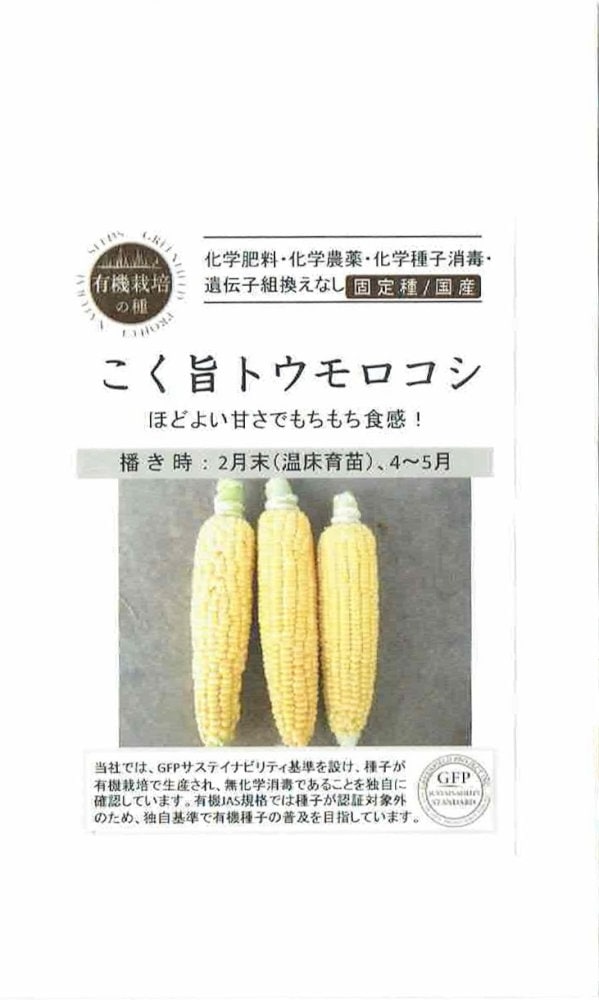 オニサバルヤシ種子1000粒 オニサバルヤシ種子1000粒