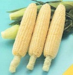 ���ʥƥå������� �������ȥ����� �֥ץ�ߥ���̣�裹���פΥ���(�ߤ餤)[�����̡���500γ]