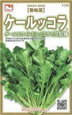 ġ̣ڡ֥åפΥ[̡ȼ40γ]ʼ̣̾ CCDD_Ͽֹ桧29087