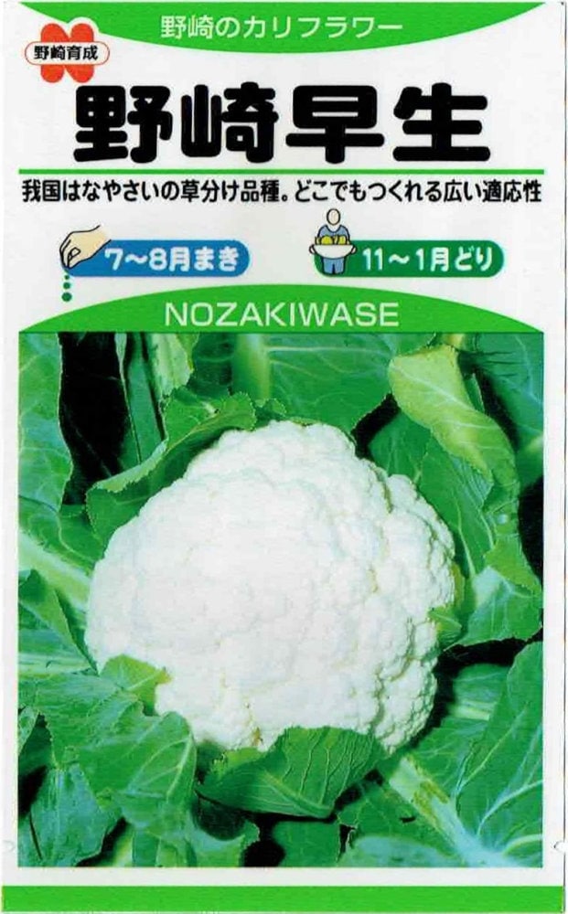 野崎採種場　カリフラワー「野崎早生」のタネ　1ml