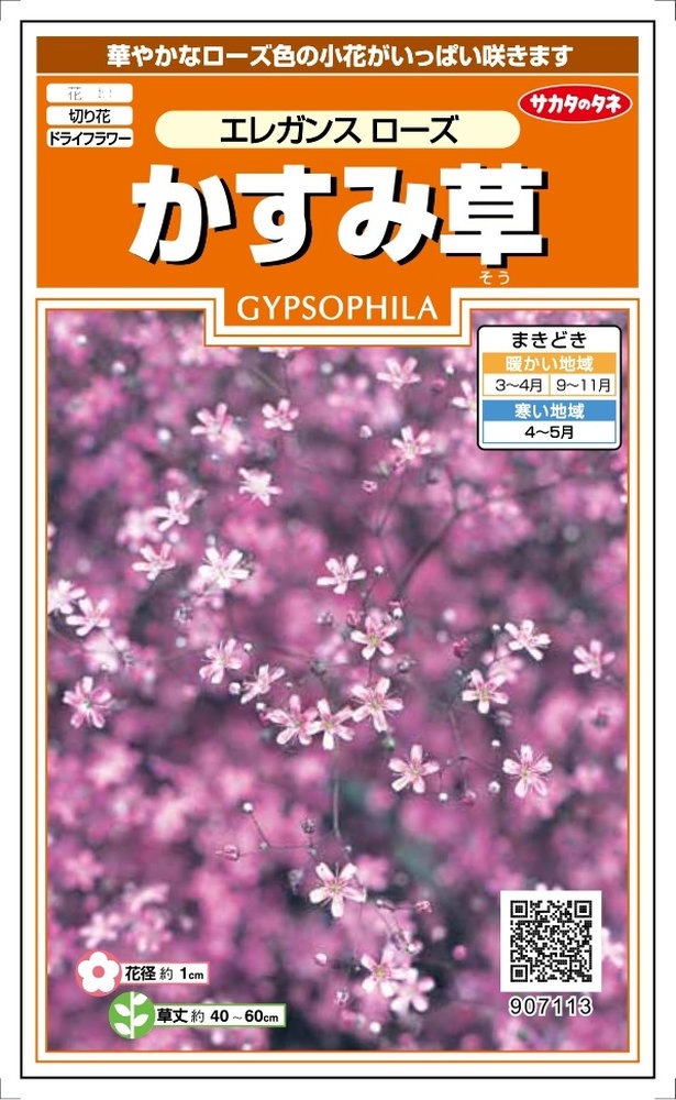 サカタのタネ かすみ草「エレガンス ローズ」のタネ 0.3ml