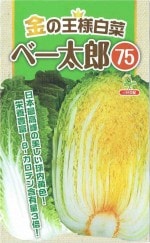 Ӽġβڡ֥١ϺפΥ͡[̡50γ]