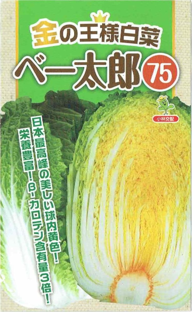小林種苗 金の王様白菜「ベー太郎75」のタネ
