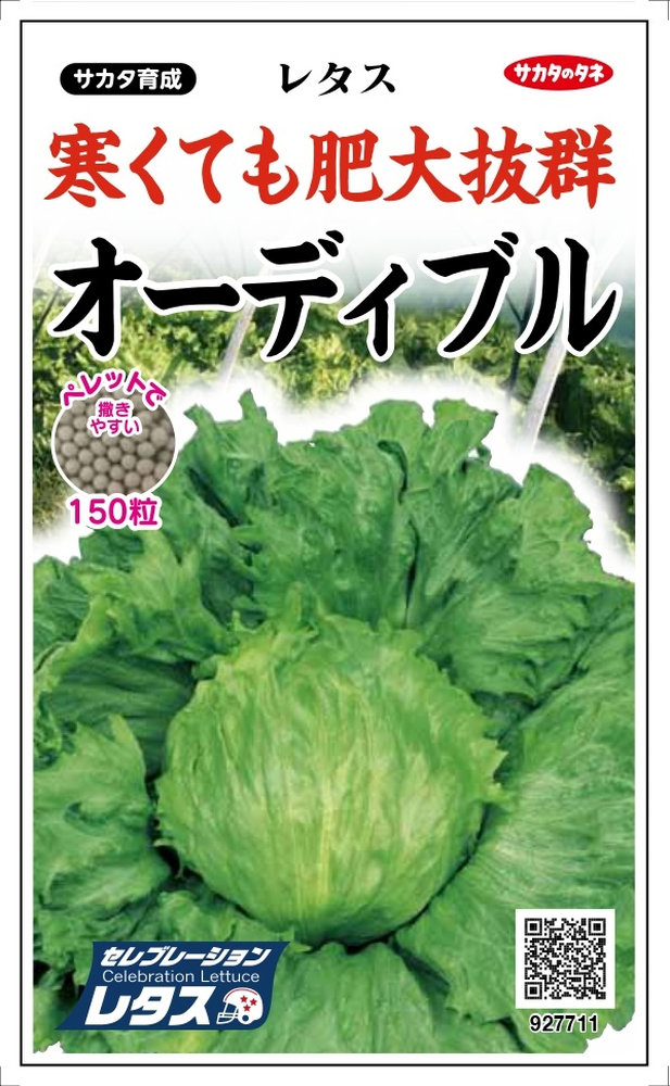 レタス様ご確認ページ】ジニレット （レタスの栄養と効能｜種類による 
