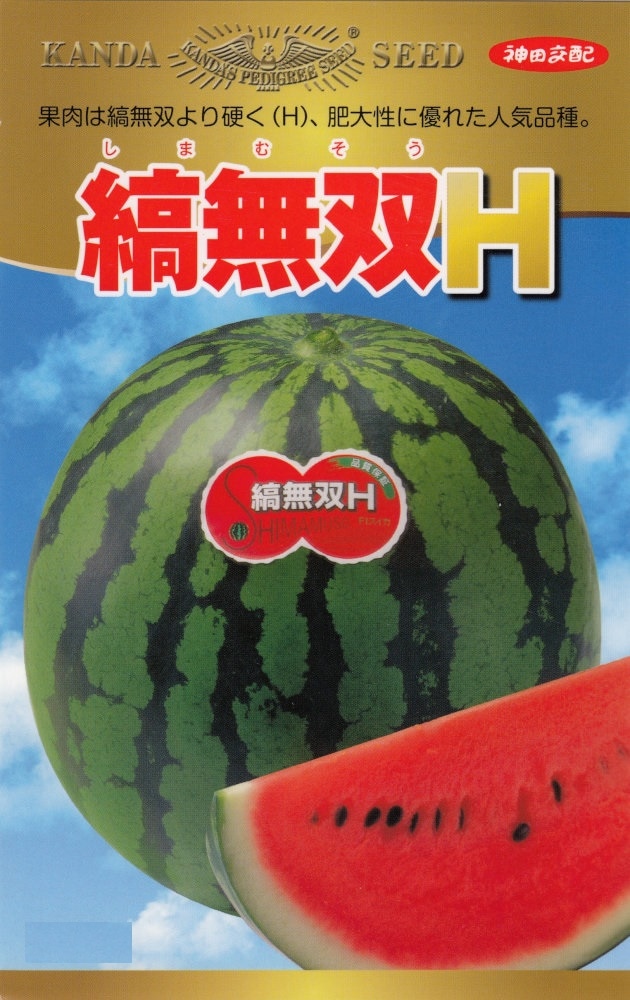 神田育種農場「スイカ 縞無双H」のタネ [内容量：約11粒] | 【メーカー
