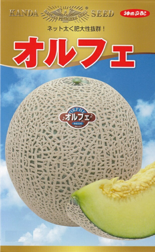 神田育種農場「メロン オルフェ」のタネ