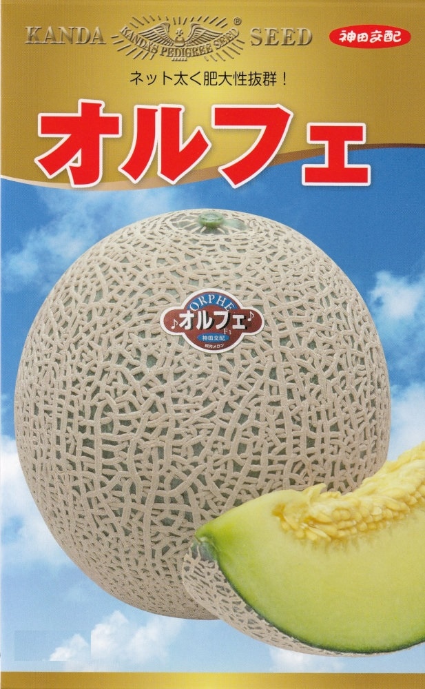 神田育種農場「メロン オルフェ」のタネ [内容量：約8粒] | 【メーカー
