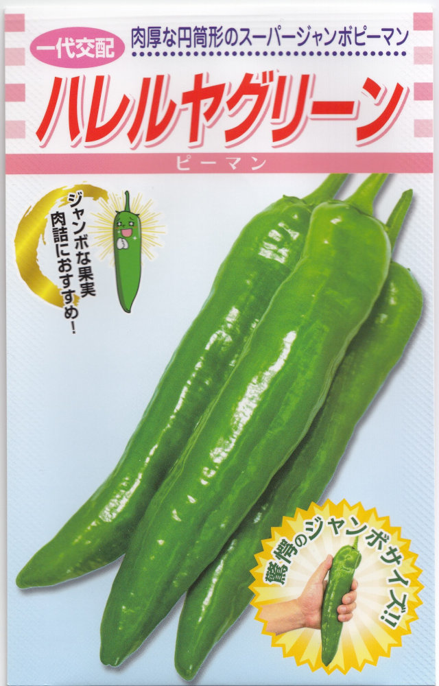 松永種苗「ジャンボピーマン ハレルヤグリーン」のタネ