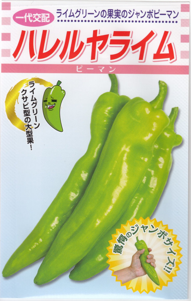 ピーマン ぐしちゃんピーマン | CATCHY