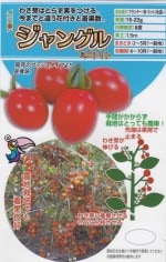 ȥġ֥ߥ˥ȥޥ 󥰥פΥ͡[̡8γ]