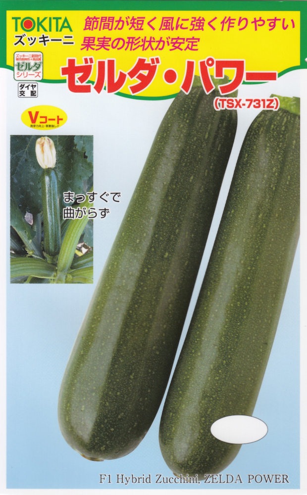 ✱パセリとズッキーニ✱です。 トキタ種苗「ズッキーニ ゼルダ・パワー」のタネ [内容量：約10粒
