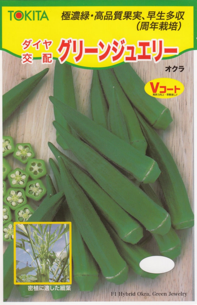 トキタ種苗「オクラ グリーンジュエリー」のタネ [内容量：約40粒