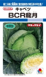 ���������ġ֥���٥� BCRζ��פΥ��͡�[������:��160γ]