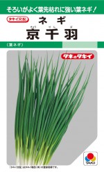 ���������ġ��եͥ� ���鱩�פΥ��͡�[������:15ml]