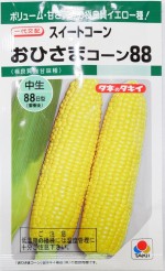ġ֥ȥ Ҥޥ󣸣פΥ͡[:40γ]
