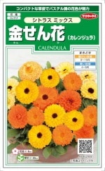 Υֶ͡⤻ ȥ饹ߥåפΥ͡[:3ml]