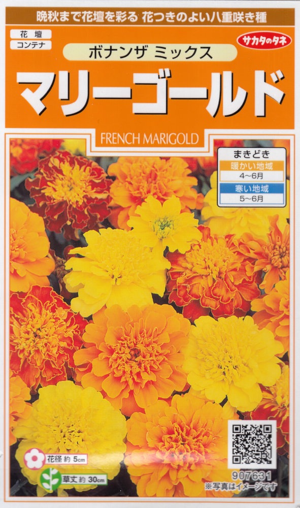 サカタのタネ「マリーゴールド ボナンザミックス」のタネ [内容量:2ml