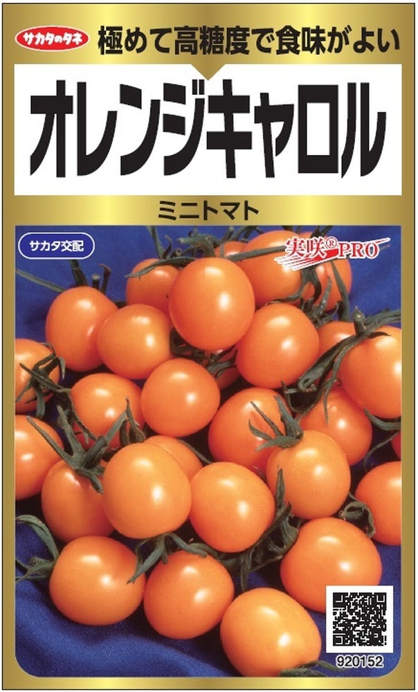 サカタのタネ「実咲PRO ミニトマト オレンジキャロル」のタネ [内容量