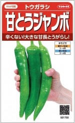 �������Υ��֥͡ȥ����饷 �ŤȤ������� ����פΥ��͡�[������:0.5ml]