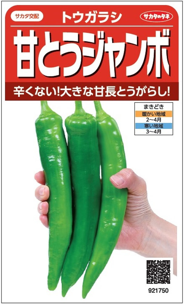 サカタのタネ「トウガラシ 甘とうジャンボ 満作」のタネ [内容量:0.5ml