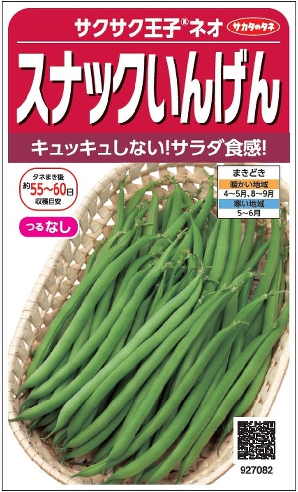 サカタのタネ インゲン「スナックいんげん サクサク王子ネオ」のタネ