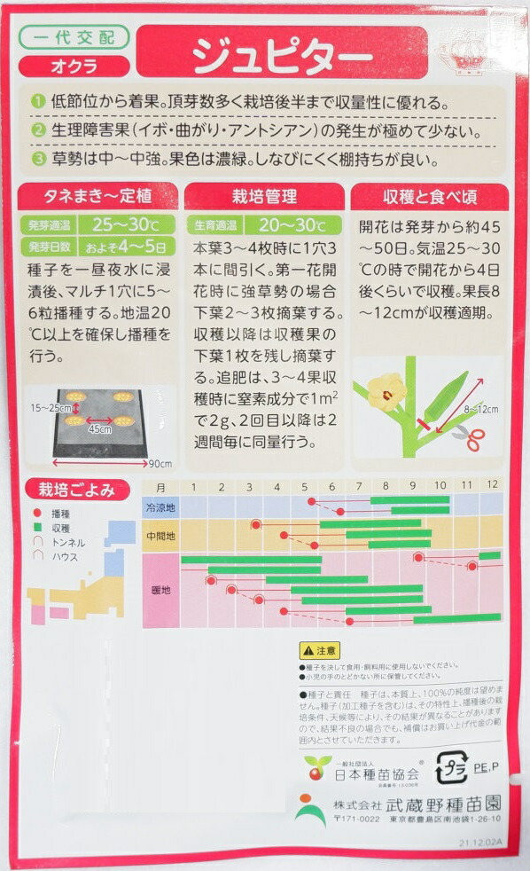 武蔵野種苗「オクラ ジュピター」のタネ