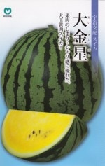 �ݼ�֥����� ������פΥ��͡�[������:��7γ]