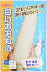 �ʥ�ȼ��ġ֥������ȥ����� �򤤤�����ΡפΥ��͡�[������:��200γ]